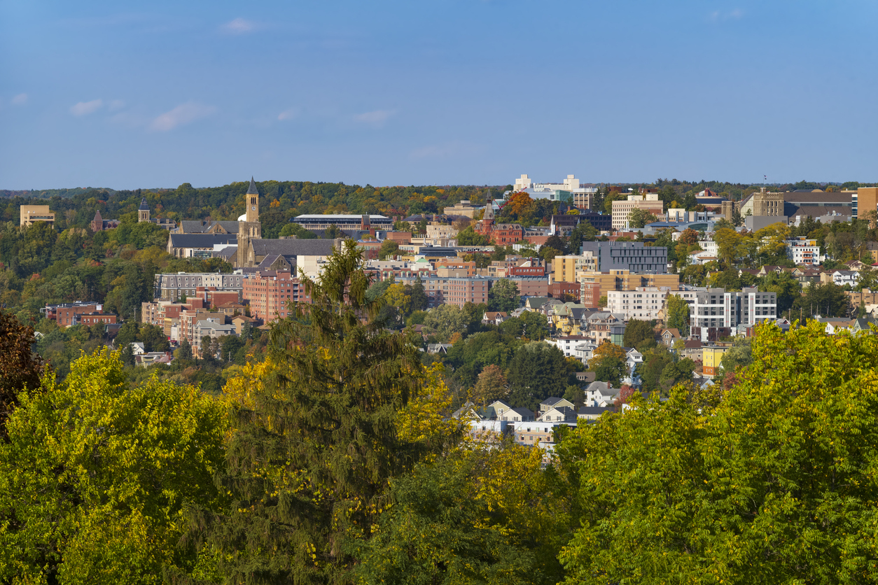 Panoramic Image of Ithaca, NY